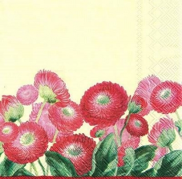 s9z11019 - In the Pink - cream - Servietten - Packung - 20 Stück