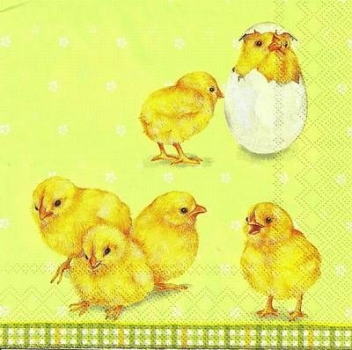 s9z11030 - Easter Chicks - green - Servietten - Packung - 20 Stück