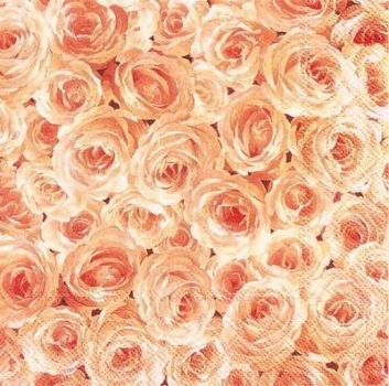 s9z11037 - Rose Garden - Servietten - Packung - 20 Stück