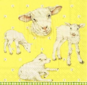 s9z11041 - Little Lambs - yellow - Napkins - Package - 20 pcs.