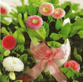 s9z11070 - Bellis Perennis - Servietten - Packung - 20 Stück