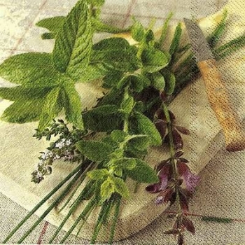 s9z11105 - Fresh Herbs - Servietten - Packung - 20 Stück