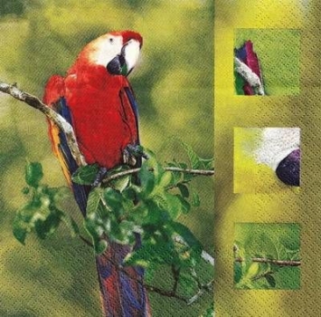 s9z11161 - Ara - Napkins - Package - 20 pcs.