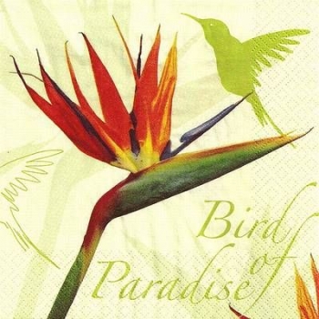s9z11179 - Bird of Paradise - green - Servietten - Packung - 20 Stück