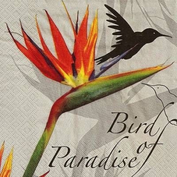 s9z11180 - Bird of Paradise - black - Servietten - Packung - 20 Stück