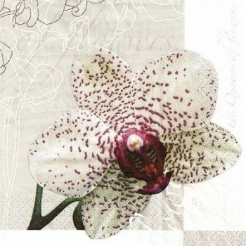 s9z11184 - Queen of Flowers - light grey - Packung  20 Stück