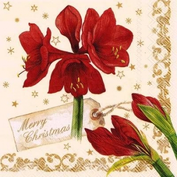 s9z11228 - Amaryllis Collage - cream - Servietten - Packung - 20 Stück