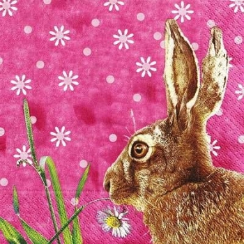s9z11247 - Mr. Rabbit - Napkins - Package - 20 pcs.