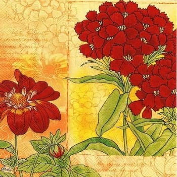 s9z11277 - Rote Blumen - Napkins - Package - 20 pcs.