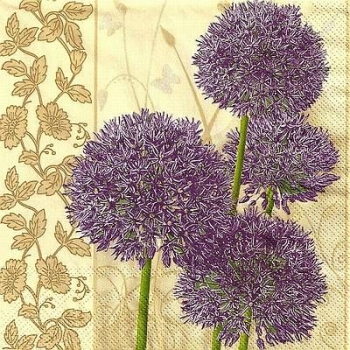 s9z11278 - Allium - Servietten - Packung - 20 Stück