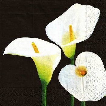 s9z11360 - Callas in White - Servietten - Packung - 20 Stück.