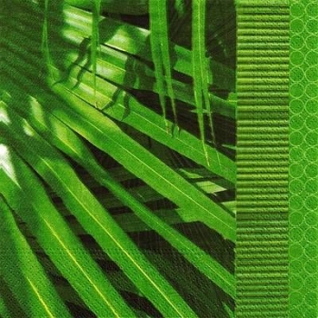 s9z11377 - Palm Leaf - Napkins - Package - 20 pcs.