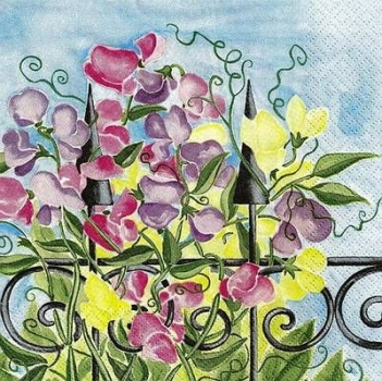 s9z11382 - Sweet Pea - Servietten - Packung - 20 Stück