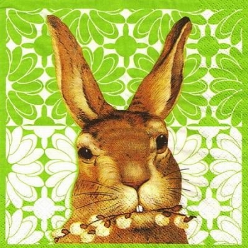 s9z11384 - Jack the Rabbit - green - Napkins - Package - 20 pcs.