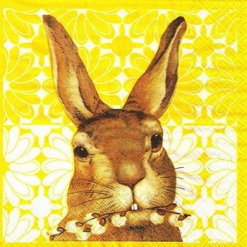 s9z11385 - Jack the Rabbit - yellow - Napkins - Package - 20 pcs.