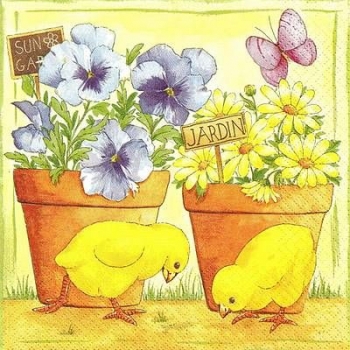 s9z11386 - Poussins dans le Jardin - Servietten - Packung - 20 Stück