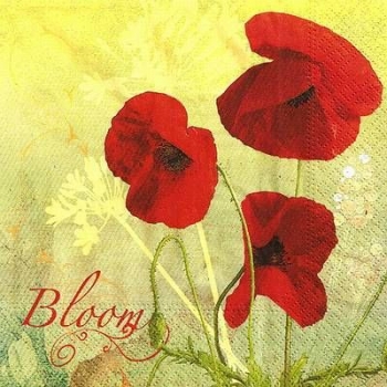 s9z11426 - Poppy - Servietten - Packung - 20 Stück