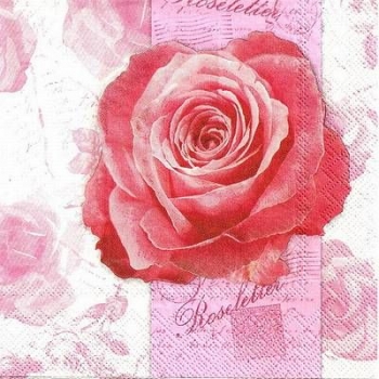 s9z11427 - Roseletter - Servietten - Packung - 20 Stück