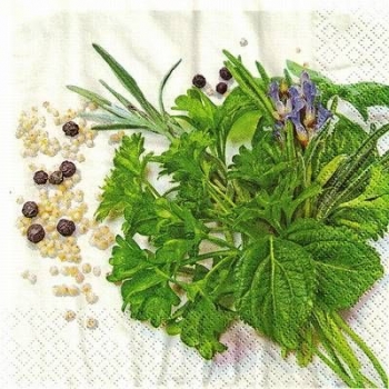 s9z11432 - Kitchen Herbs - Servietten - Packung - 20 Stück