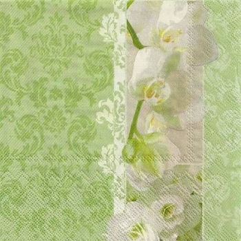 s9z11447 - Romantic Dream - Servietten - Packung - 20 Stück