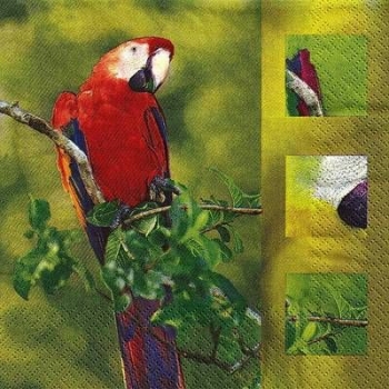 s9z11458 - Ara - Napkins - Package - 20 pcs.