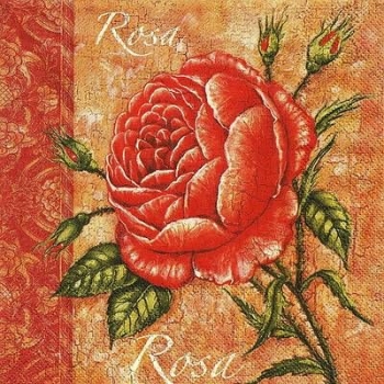 s9z11481 - Rose - Servietten - Packung - 20 Stück