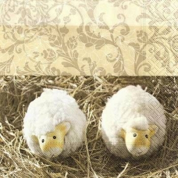 s9z11493 - Waiting for Easter - Servietten - Packung - 20 Stück