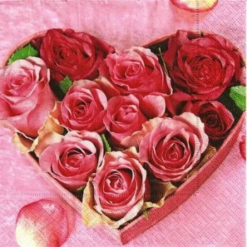 s9z11501 - Framed Roses - Servietten - Packung - 20 Stück.