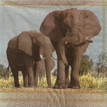 s9z11513 - Elephants - Napkins - Package - 20 pcs.