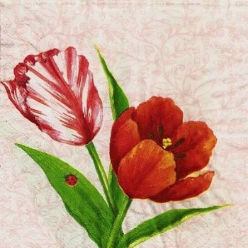 s9z11531 - Tulpen - Servietten - Packung - 40 Stück