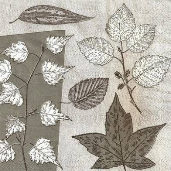 s9z11612 – Blätter - grau/weiß - Napkins - Package - 20 pcs.