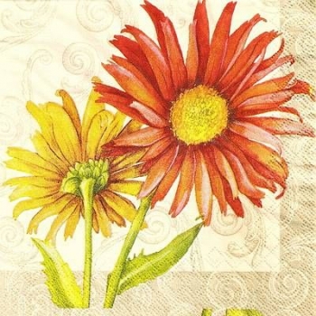 s9z11613 - Gerbera - Servietten - Packung - 40 Stück..