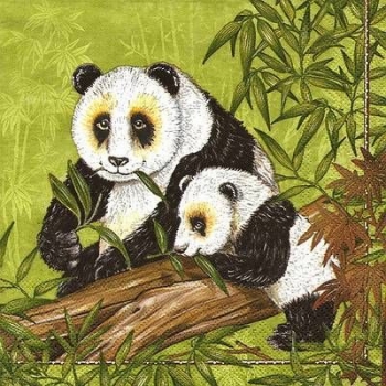 s9z11621 - Panda - Servietten - Packung - 20 Stück