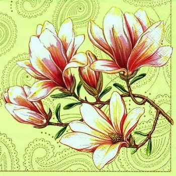 s9z11622 - Magnolie – grün - Servietten - Packung - 20 Stück.