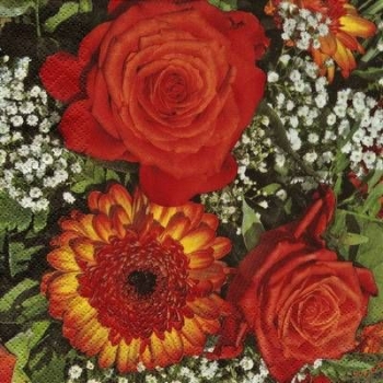 s9z11693 - Rosas Naranja - red - Servietten - Packung - 20 Stück
