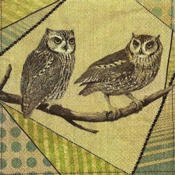s9z11714 - Owl - Napkins - Package - 20 pcs.