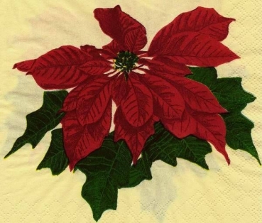 s9z11945 - Weihnachtsstern - Serviette - Stückpreis