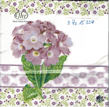 s9z15329 – Primula – lilac – IHR – Servietten – Packung – 20 Stück