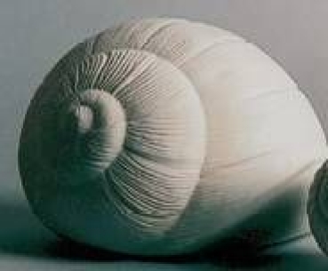 Gießform – neu – Schneckenhaus – Nagetierhöhle – 20 cm hoch – Made in Germany