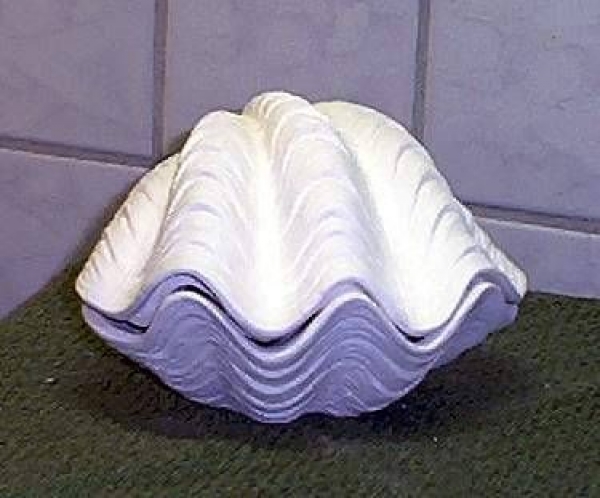 Muscheldose – 14 x 10 cm - Schrühware