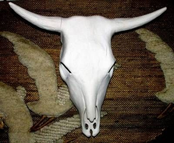 Kuhschädel - groß - 40 cm - Schrühware