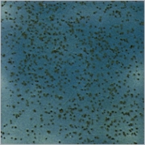 Blaugrün gesprenkelt - 200 ml - von BOTZ - DISC