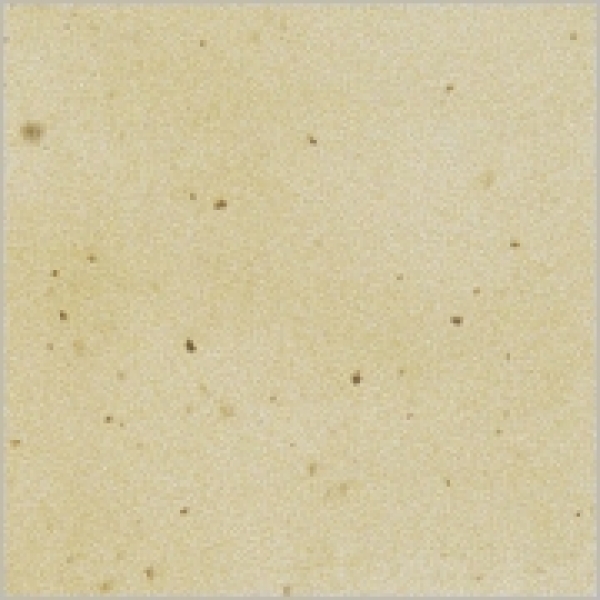 Vanille - 800 ml - von BOTZ