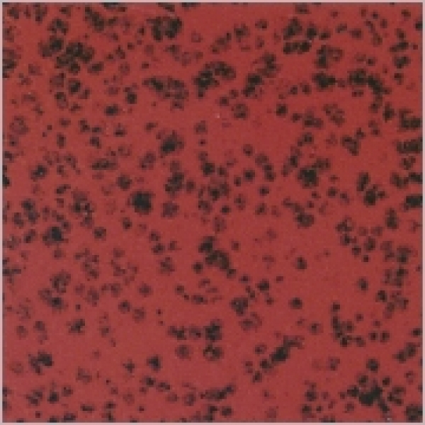 Rot gepunktet - 800 ml - von BOTZ