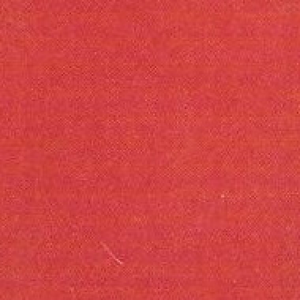 Rot Matt - 200 ml - von BOTZ - NEU!