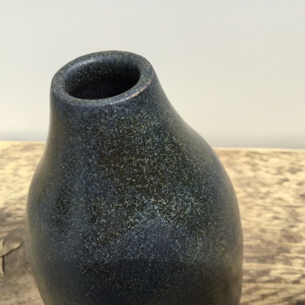 Salamander – seidenglänzend – 800 ml – Steinzeug-Glasur von BOTZ - Brennbereich 1.220 bis 1.280 °C
