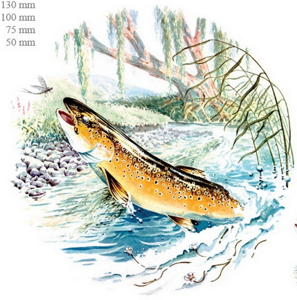 Keramik-Tasse - Becher mit Wunschname – Motiv: 1 x Fisch / Forelle