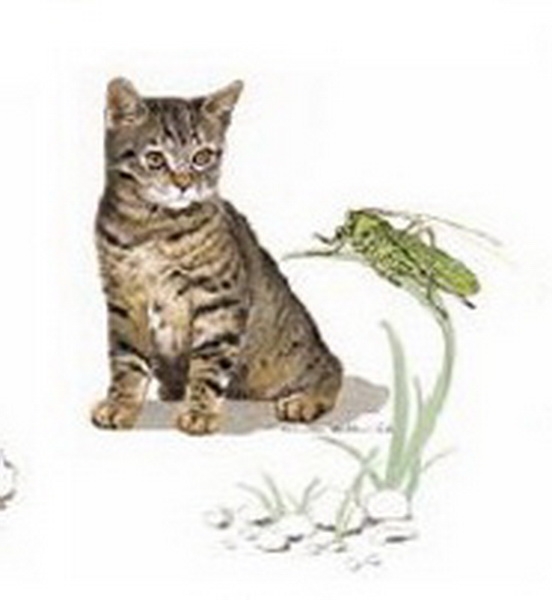 Keramik-Tasse  - Becher mit Wunschname – Motiv: 1 x Katze