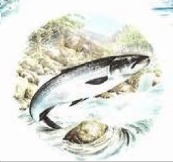 Keramik-Tasse - Becher mit Wunschname – Motiv: 1 x Fisch / Lachs