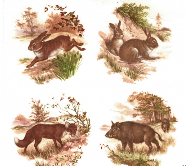 Decals – Waldtiere – 4er-Set – je 75 mm